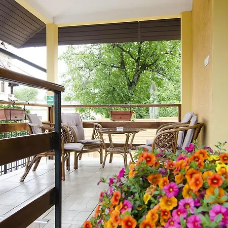 Alexia Guest house